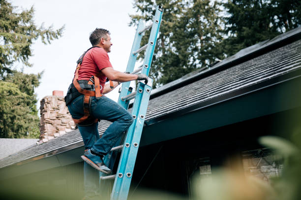 Best Solar Panel Roofing Installation  in Mcgaheysville, VA